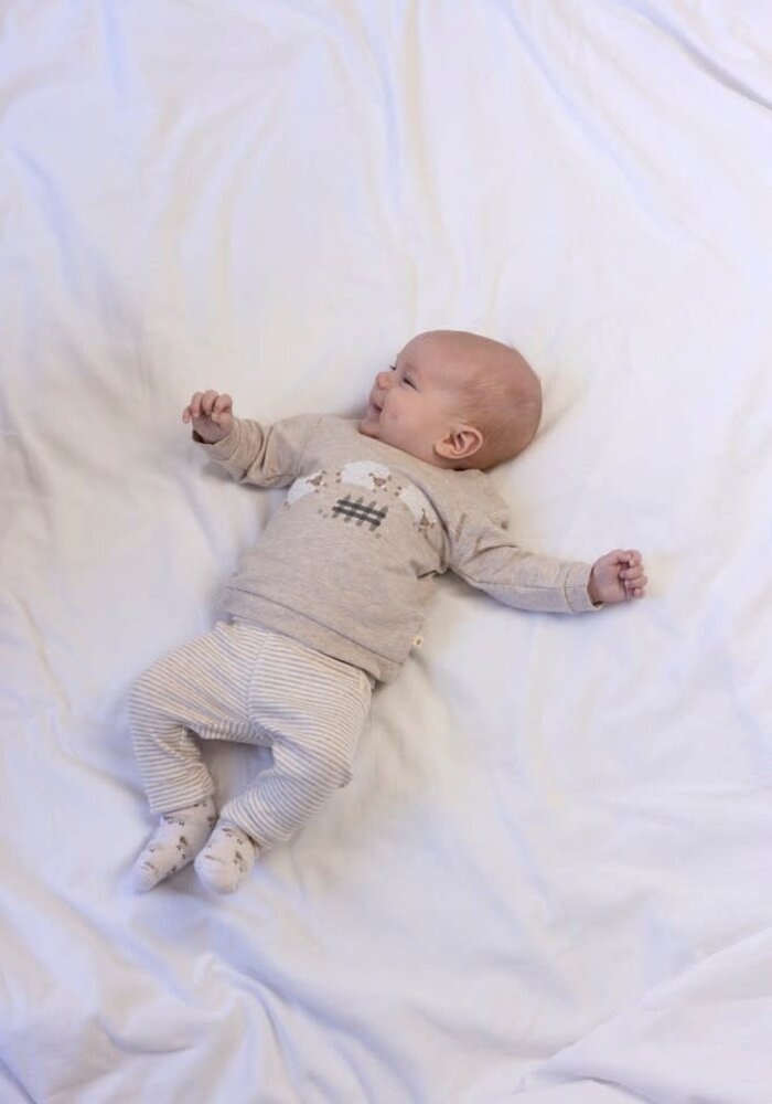 Feetje Broek rib met streep - Sleepy Sheepy Taupe melange