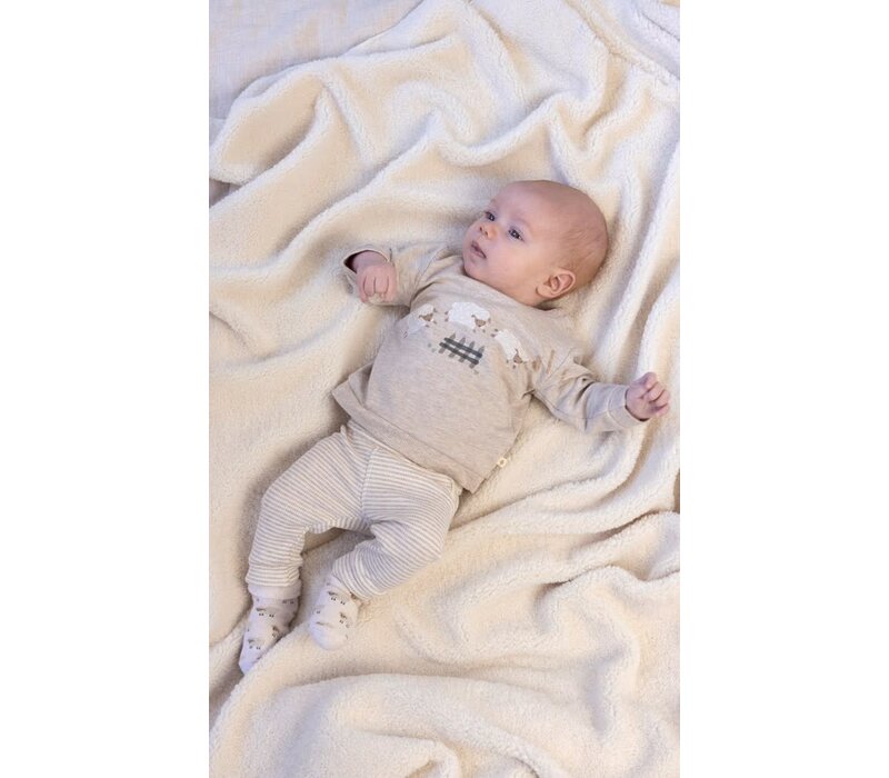 Feetje Broek rib met streep - Sleepy Sheepy Taupe melange