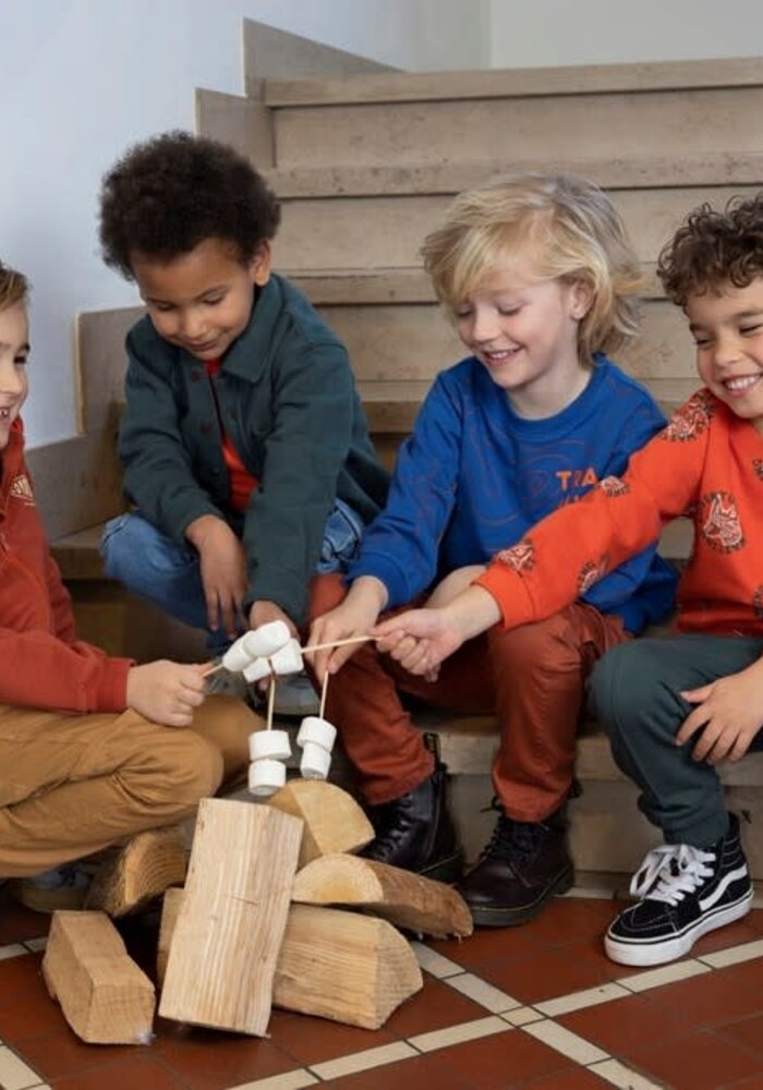 Sturdy Overhemd - Chasing Trails Petrol