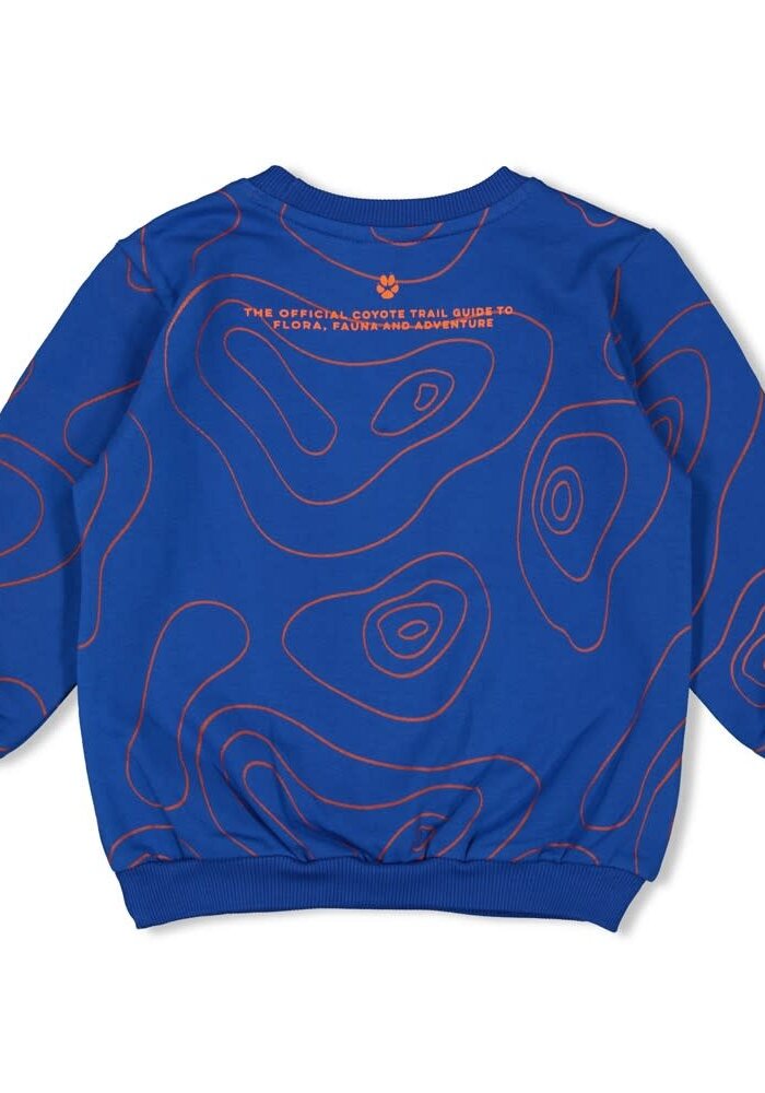 Sturdy Sweater AOP - Chasing Trails Blauw