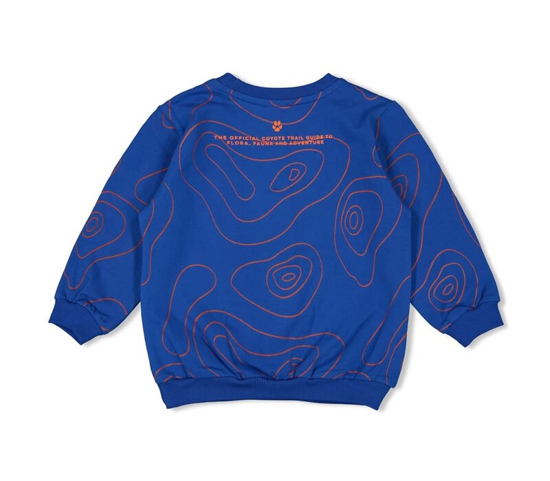 Sturdy Sweater AOP - Chasing Trails Blauw