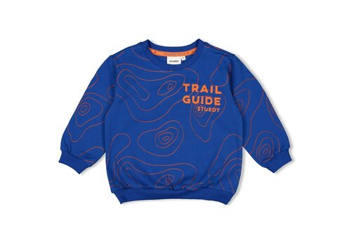 Sturdy Sturdy Sweater AOP - Chasing Trails Blauw