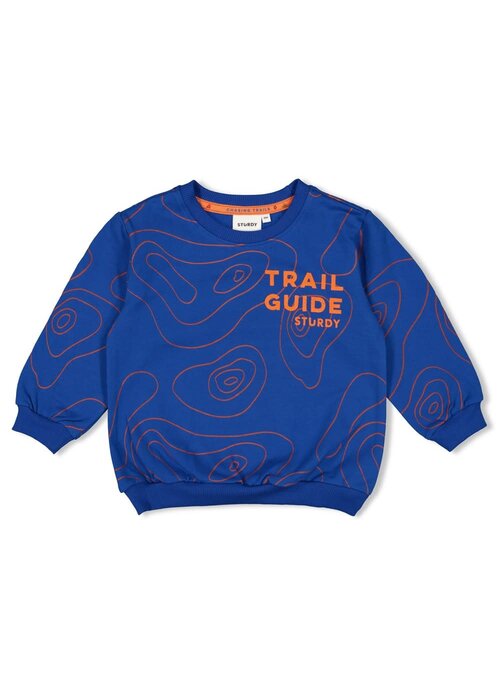 Sturdy Sturdy Sweater AOP - Chasing Trails Blauw