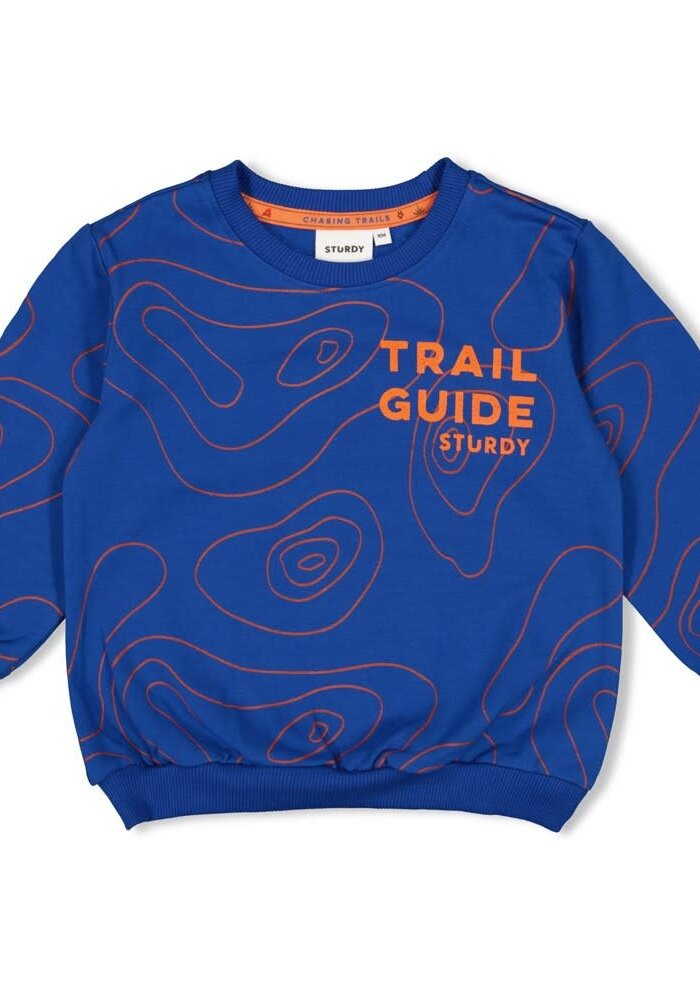 Sturdy Sweater AOP - Chasing Trails Blauw