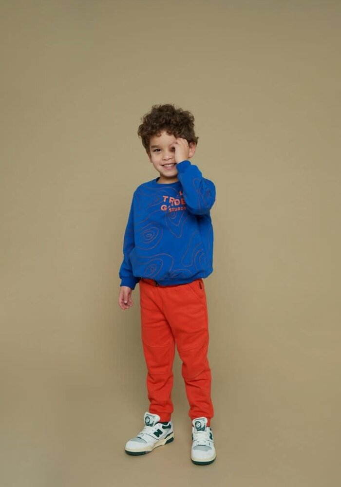 Sturdy Sweater AOP - Chasing Trails Blauw