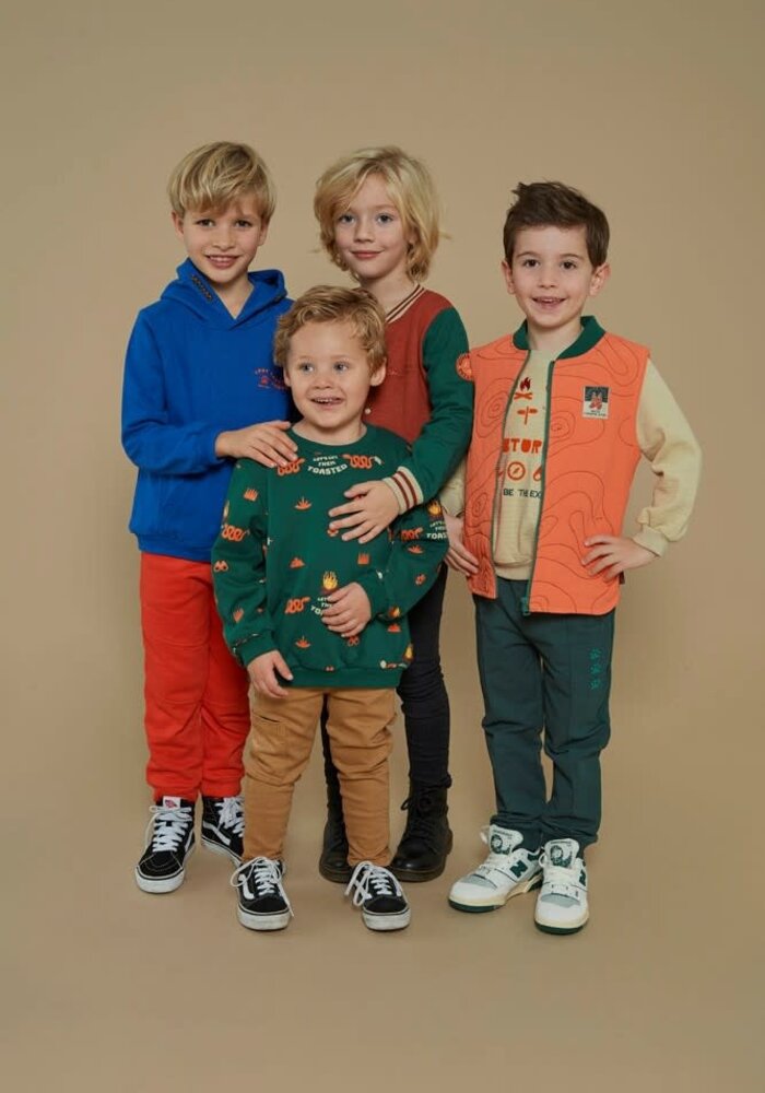 Sturdy Sweater AOP - Chasing Trails Groen