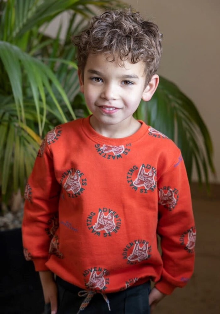 Sturdy Sweater AOP - Chasing Trails Oranje