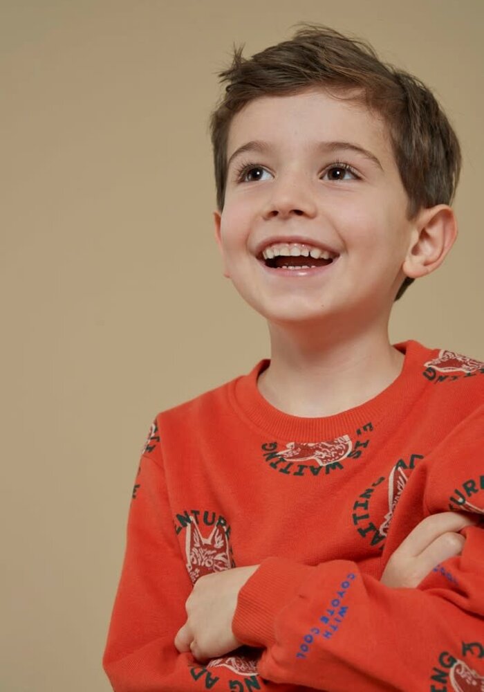 Sturdy Sweater AOP - Chasing Trails Oranje