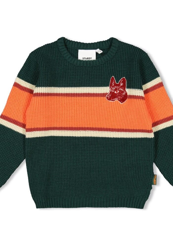 Sturdy Sweater gebreid - Chasing Trails Groen