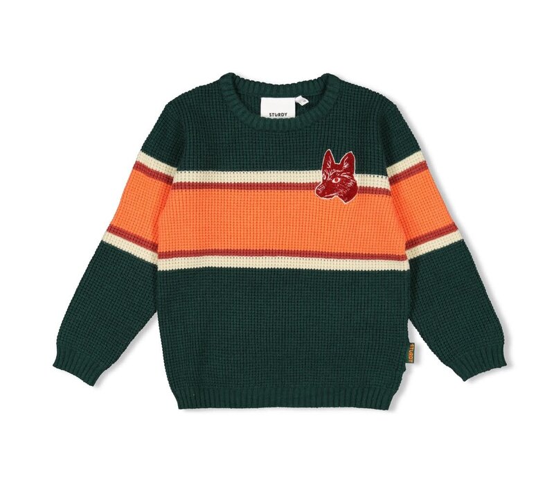 Sturdy Sweater gebreid - Chasing Trails Groen