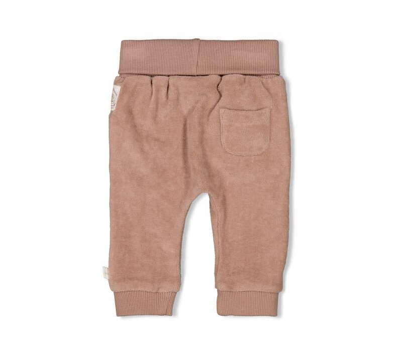 Feetje Broek velours - Fall Favorites Hazelnoot