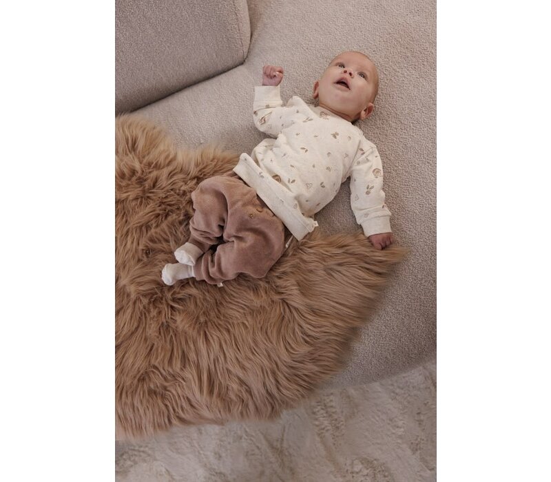 Feetje Broek velours - Fall Favorites Hazelnoot