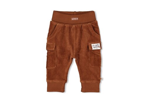 Feetje Feetje Broek velours rib - Wild World Bruin