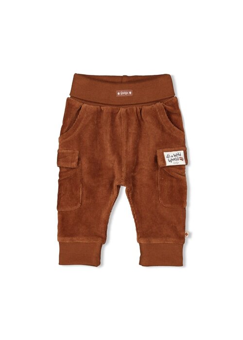Feetje Feetje Broek velours rib - Wild World Bruin