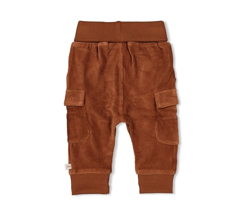 Feetje Broek velours rib - Wild World Bruin