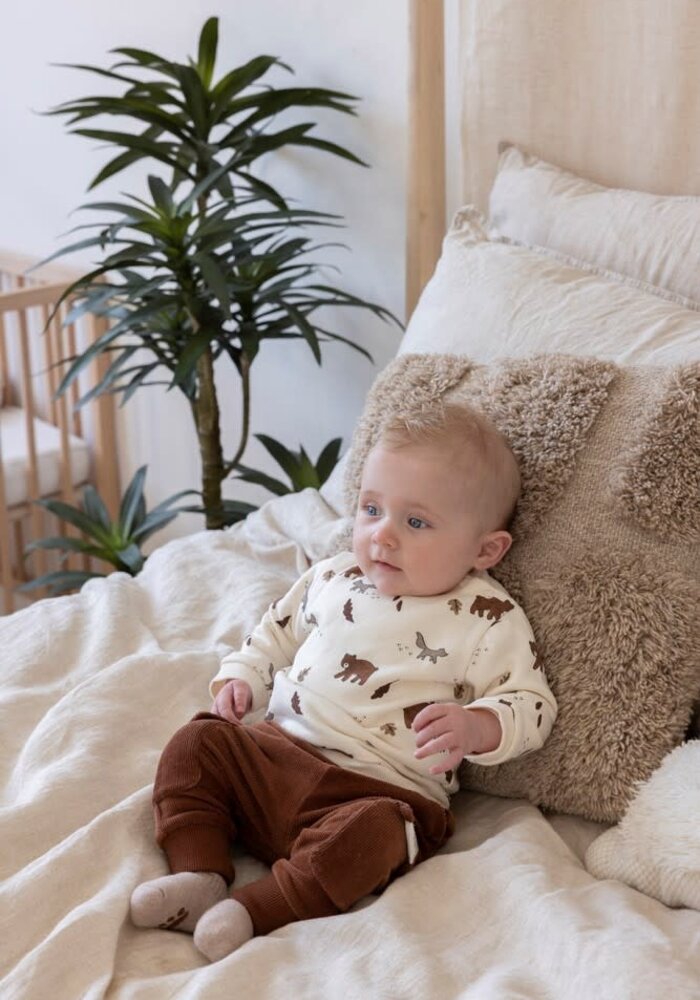 Feetje Broek velours rib - Wild World Bruin