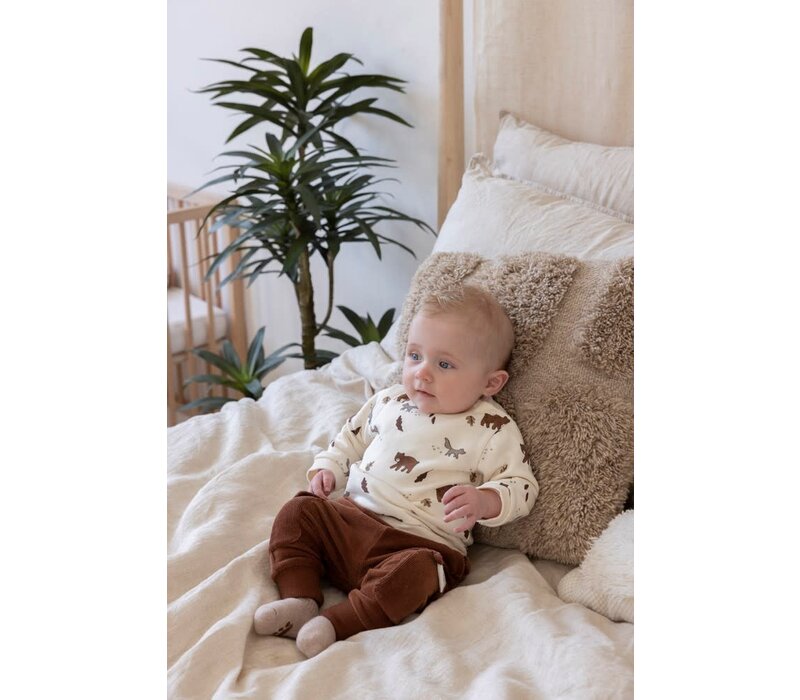 Feetje Broek velours rib - Wild World Bruin