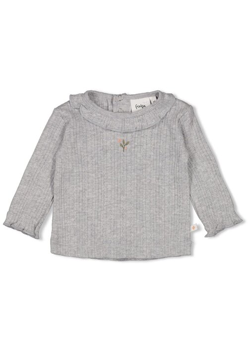 Feetje Feetje Longsleeve ajour rib - Fields of Green Grijs melange