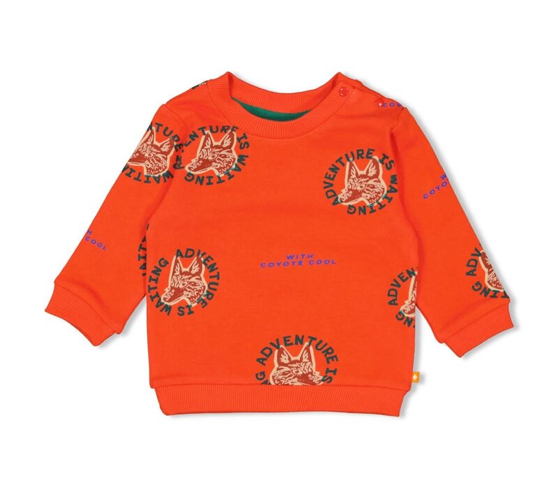 Feetje Sweater AOP - Chasing Trails Oranje
