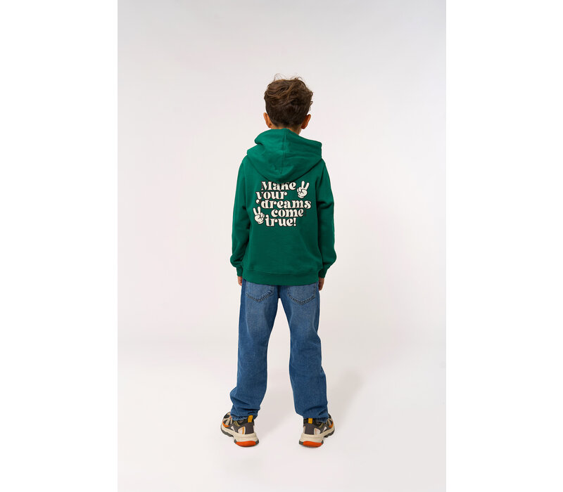 The New TNPanon Hoodie Alpine Green