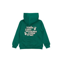 The New TNPanon Hoodie Alpine Green