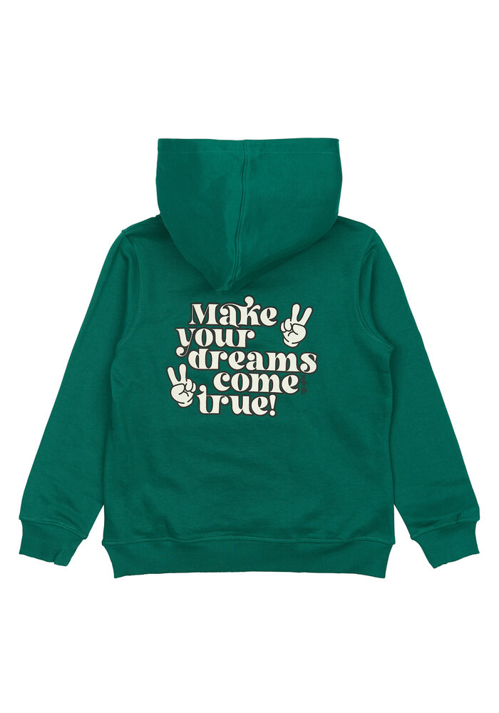 The New TNPanon Hoodie Alpine Green