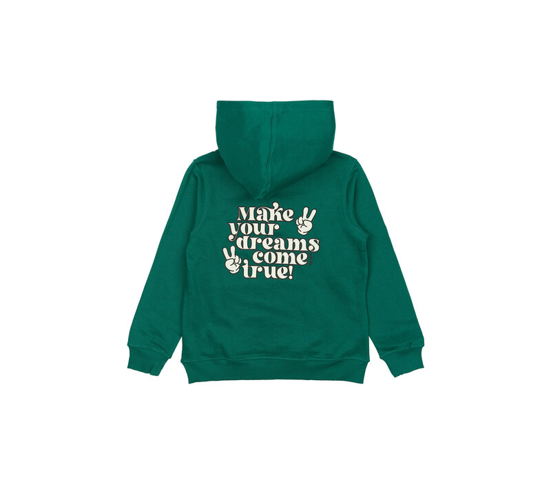 The New TNPanon Hoodie Alpine Green