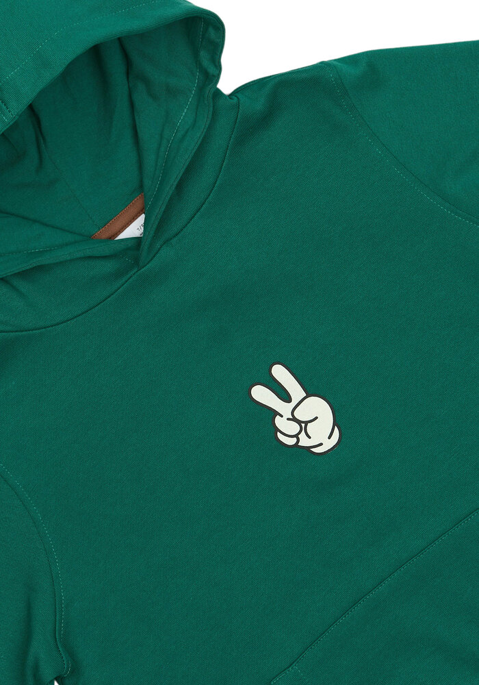 The New TNPanon Hoodie Alpine Green