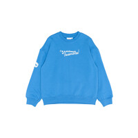 The New TNPelle OS Sweatshirt Campanula