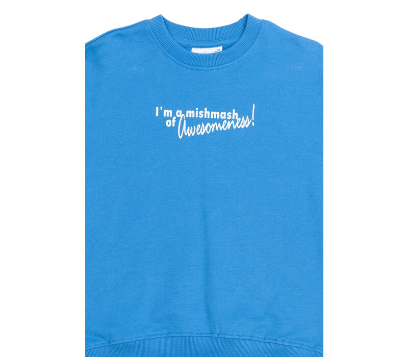 The New TNPelle OS Sweatshirt Campanula