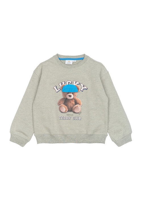 The New The New TNPendra OS Sweatshirt Light Grey Melange