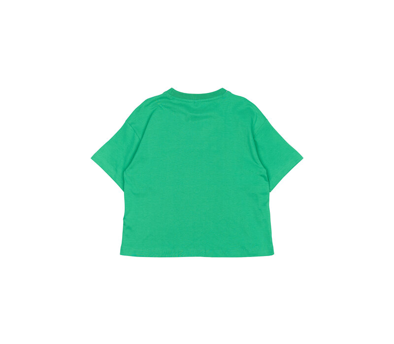 The New TNPraise OS S_S Tee Simply Green