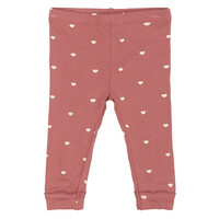 The New TNSBNova Leggings Withered Rose AOP