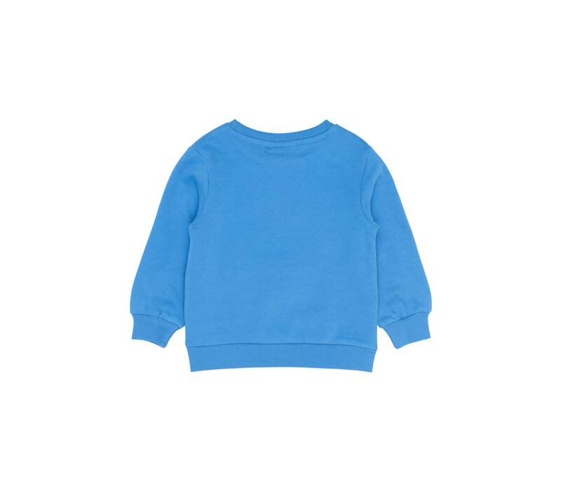The New TNSTPawnee Sweatshirt Campanula