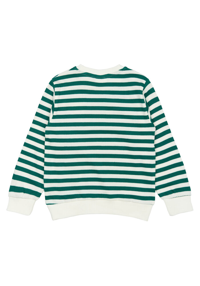 The New TNSTPer Sweatshirt Alpine Green Striped