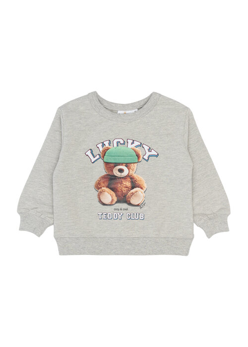 The New The New TNSTPippin OS Sweatshirt Light Grey Melange