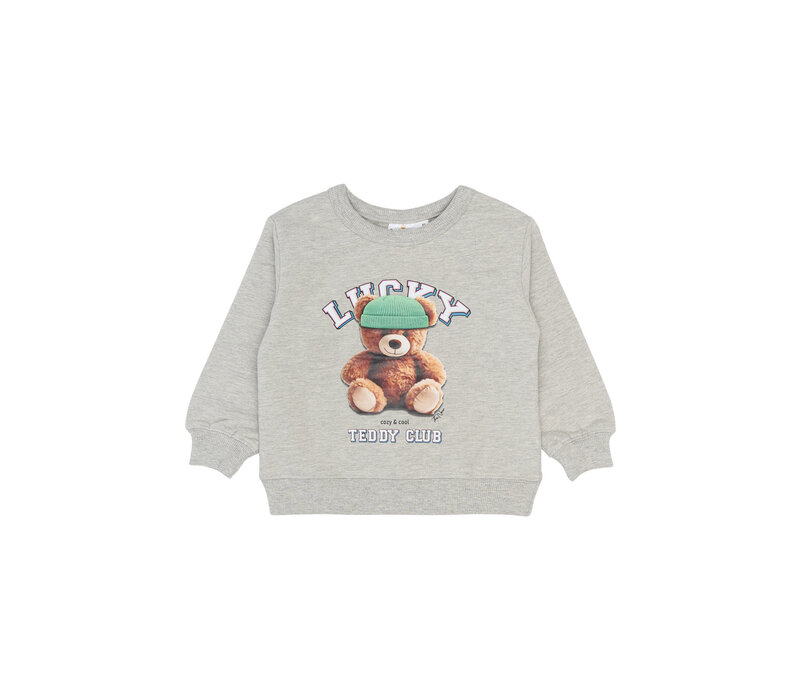 The New TNSTPippin OS Sweatshirt Light Grey Melange