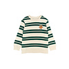 The New TNSTRobbie Knit Sweatshirt Deep Teal Striped