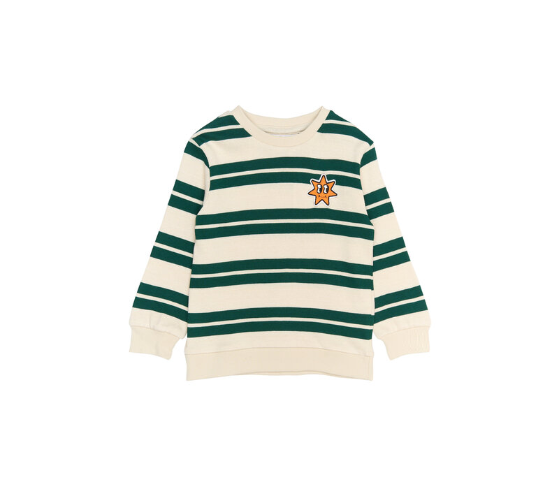 The New TNSTRobbie Knit Sweatshirt Deep Teal Striped