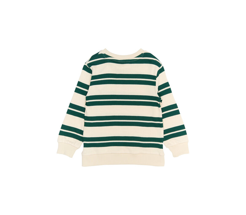 The New TNSTRobbie Knit Sweatshirt Deep Teal Striped