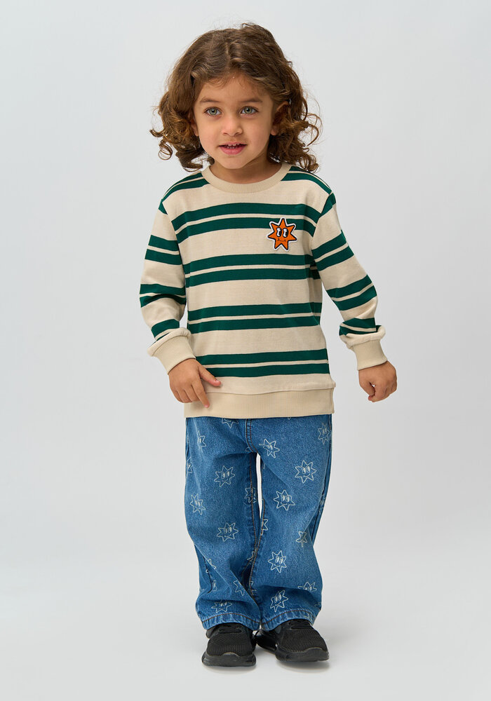 The New TNSTRobbie Knit Sweatshirt Deep Teal Striped