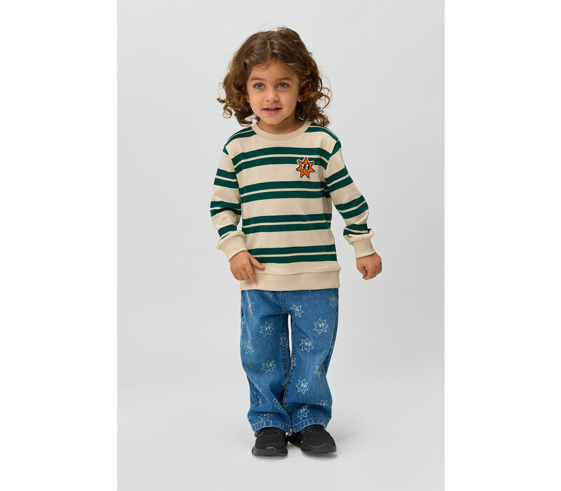 The New TNSTRobbie Knit Sweatshirt Deep Teal Striped