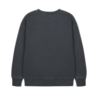 Jelly Mallow Catchy Face Pigment Sweatshirt CHARCOAL