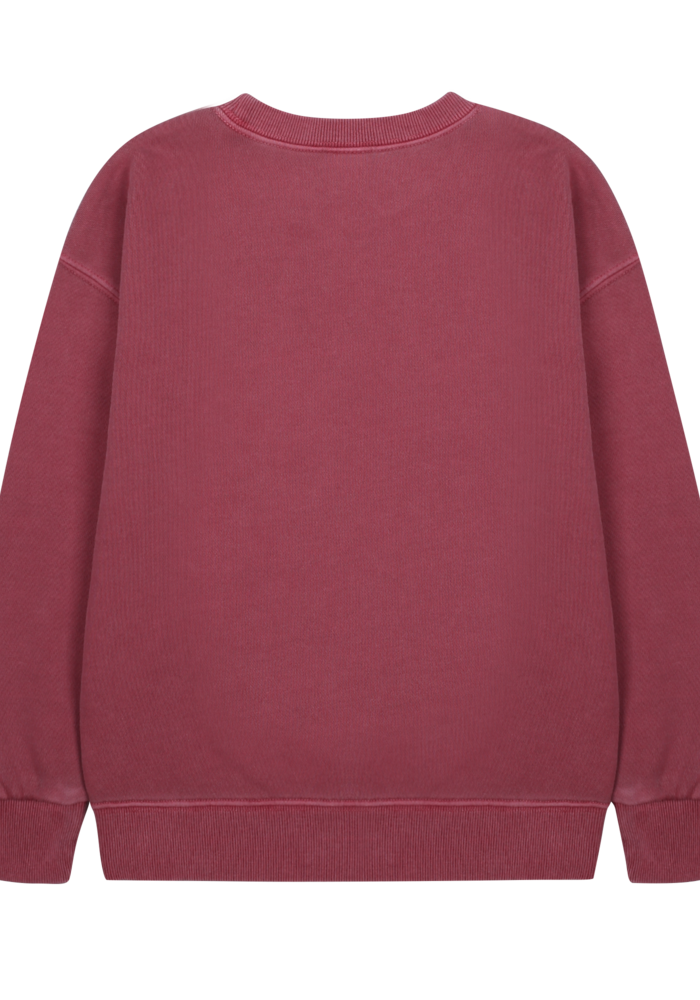 Jelly Mallow Flying Bird Pigment Sweatshirt BURGUNDY