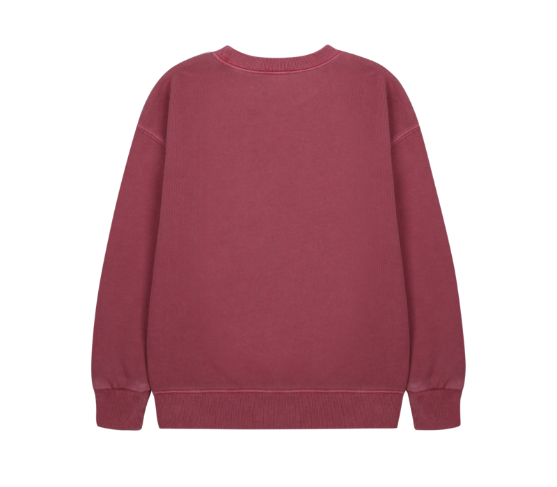 Jelly Mallow Flying Bird Pigment Sweatshirt BURGUNDY