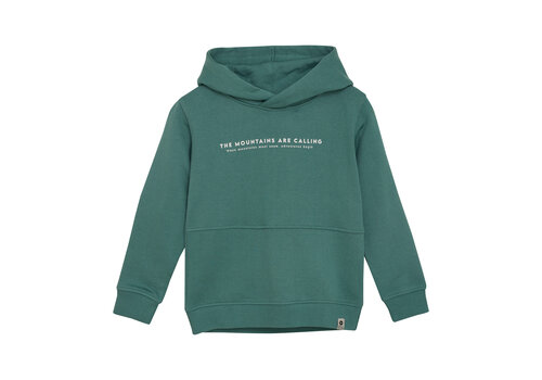 Daily seven Daily Seven Hoodie Backprint Blue Spruce