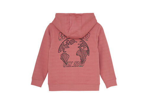 Daily seven Daily Seven Hoodie Artwork Coral Clay