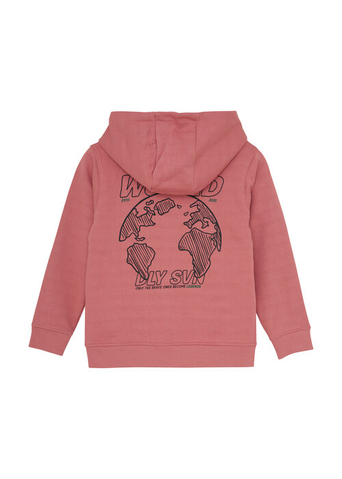 Daily seven Daily Seven Hoodie Artwork Coral Clay