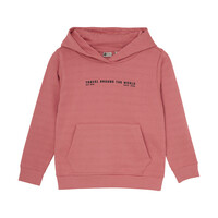 Daily Seven Hoodie Artwork Coral Clay
