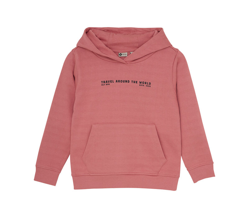 Daily Seven Hoodie Artwork Coral Clay
